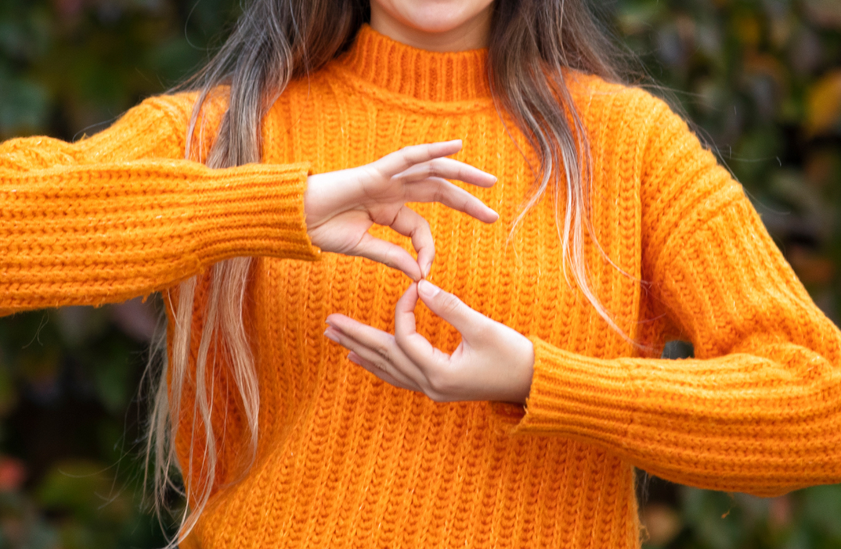 Introduction to British Sign Language